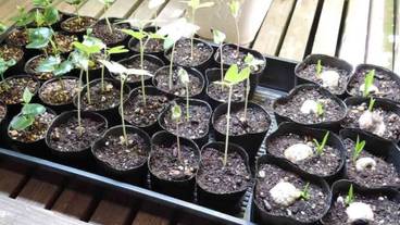 内装の詳細 / 22