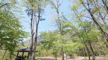 宿泊施設の地図 / 15