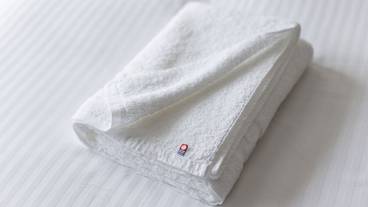 客室の設備とサービス / 39