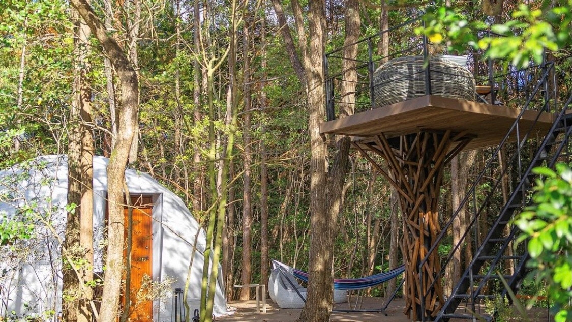 ドーム型テントやBBQディナー♪おしゃれなグランピングを愛犬と体験3931961