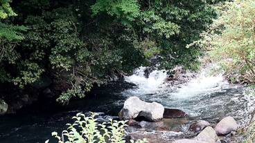 部屋からの景観 / 9