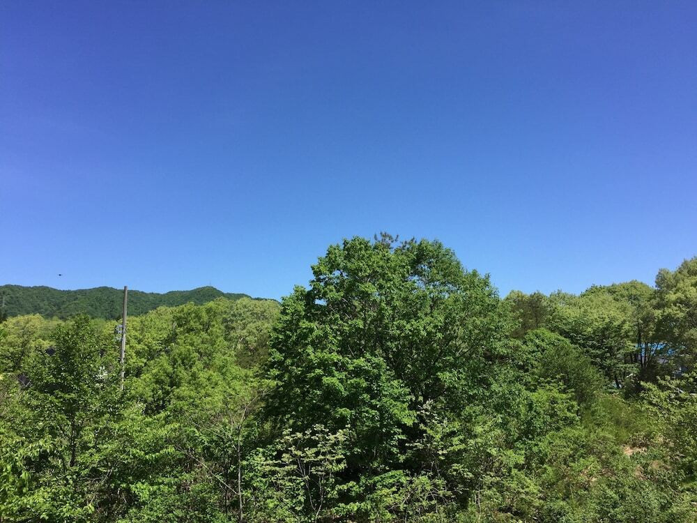 施設からの眺望