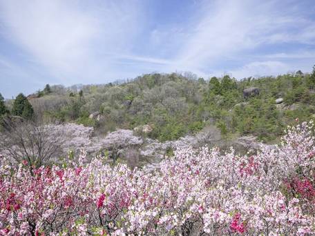 グランピング 星が見の杜 / 3