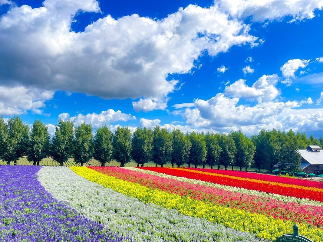 kandm884さんの写真 / 1