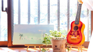 スタンダード アパートメント (A)