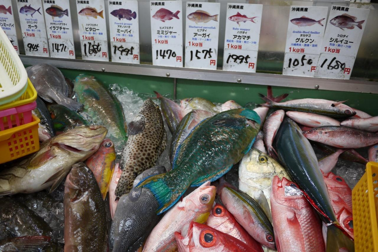 漁港直営『パヤオ直売店』はおいしい海鮮が盛りだくさん!1174319