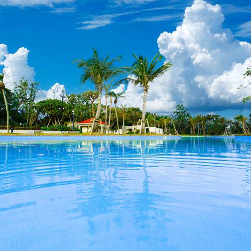 4月～11月に入れる屋外プール / 3