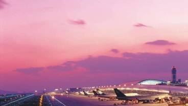 観光スポット / 8