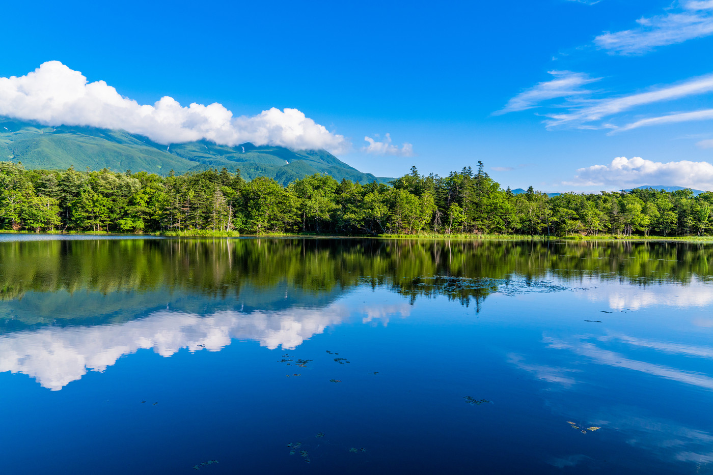 北海道の大自然を感じるなら「道東」へ3695794