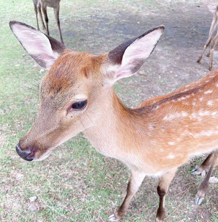 miho826ohimさんの写真 / 1