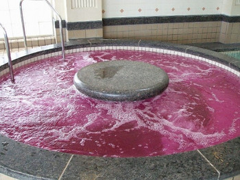 3.[兵庫県] 神戸ホテルフルーツ・フラワー4247538