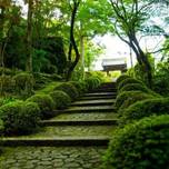 【奈良】心を整える1泊2日。宿坊「霊山寺 天龍閣」でゆったり癒しの旅を