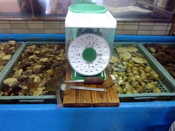 「焼蛤 浜茶屋 向島」その他 1154900 これで量り売り