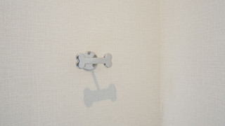 Rakuten STAY VILLA 八ヶ岳 [108_ペット同室可]シンプルモダン / 8名定員 禁煙