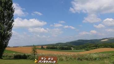 施設からの眺望 / 7