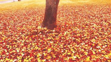 施設の敷地 / 40