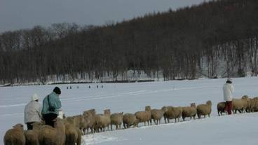 施設の敷地 / 16
