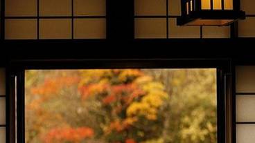 ◆ Autumn leaves 1 / 10