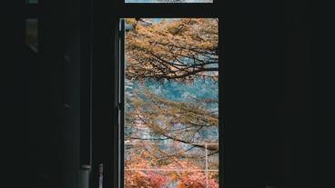 施設からの眺望 / 11