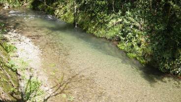 施設の敷地 / 14