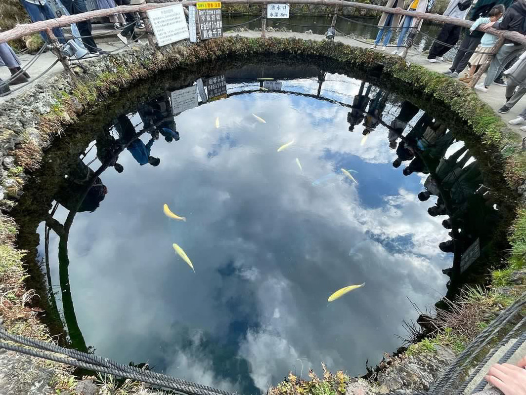 m24.nm_さんの写真 / 1