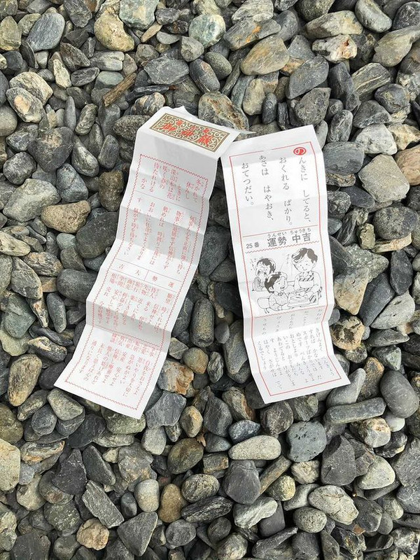 su_zoo_sansanさんの写真 / 2