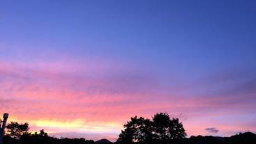 施設からの眺望 / 10