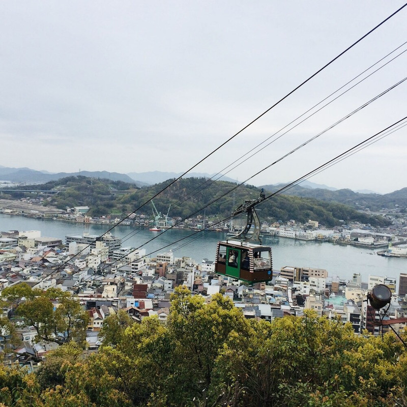 観光スポット