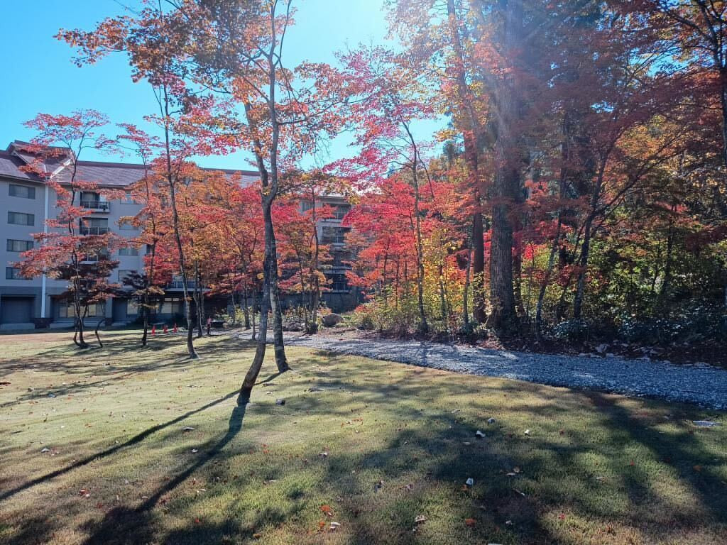 yumikohmnさんの写真 / 1
