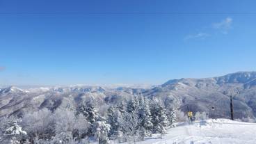 スキー ヒル / 7