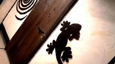 内装の詳細 / 18