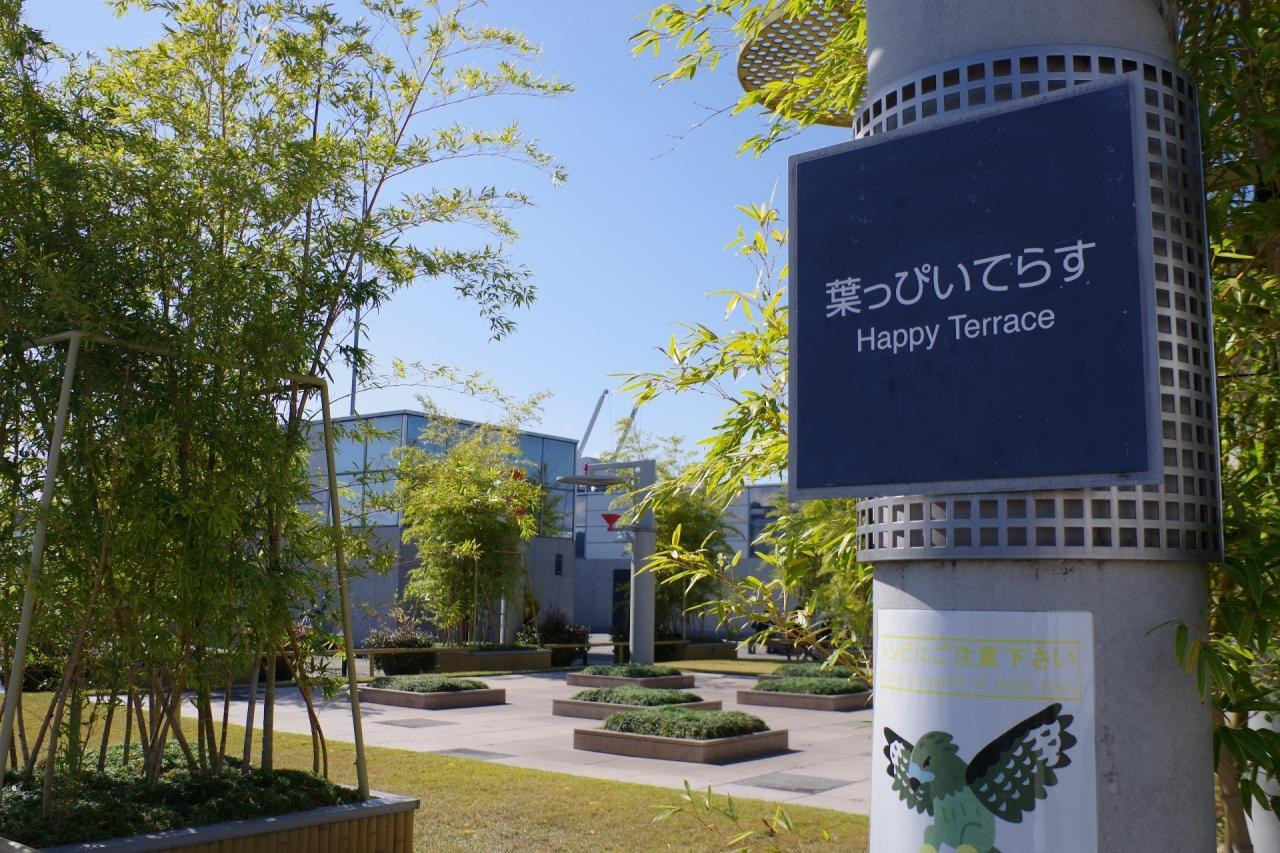 空まで続いてる？思わず上まで登ってしまう“映え”な階段2335688