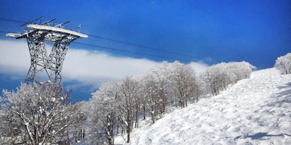 スノー スポーツとスキー