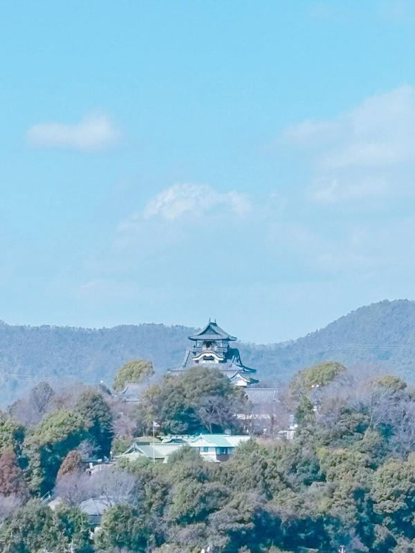 施設からの眺望