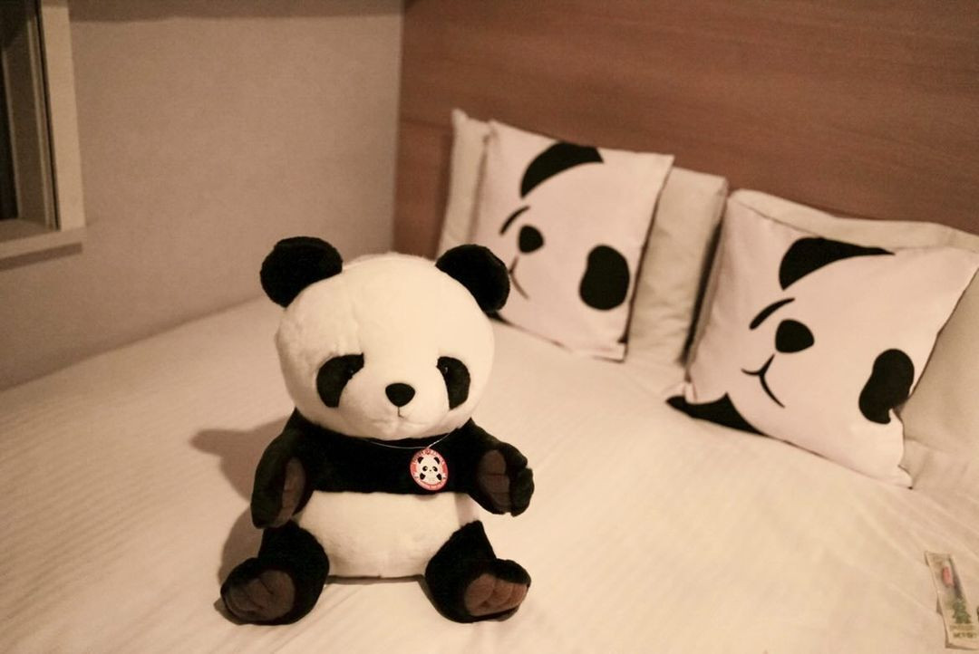 su_zoo_sansanさんの写真 / 1