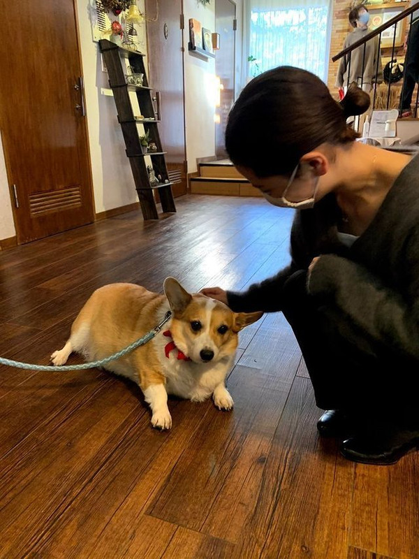 karinnnirakさんの写真 / 2