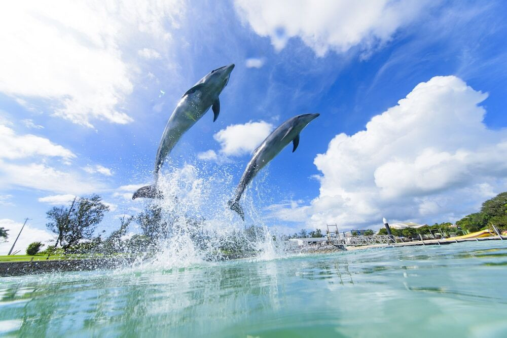 子供向けアクティビティ