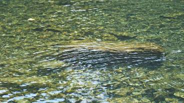 施設からの眺望 / 15