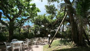 テラス / パティオ / 22