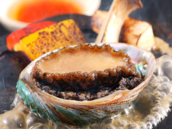 城崎温泉 かがり火の宿 大西屋水翔苑(キノサキオンセン カガリビノヤド オオニシヤスイショウエン) / 6