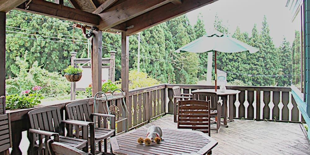 テラス / パティオ