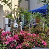 TOKYO GUEST HOUSE 2020（東京都 ゲストハウス・ホステル・ドミトリー） / 5