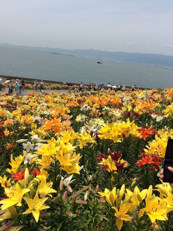 施設からの眺望