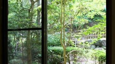 ガーデン ビュー / 15