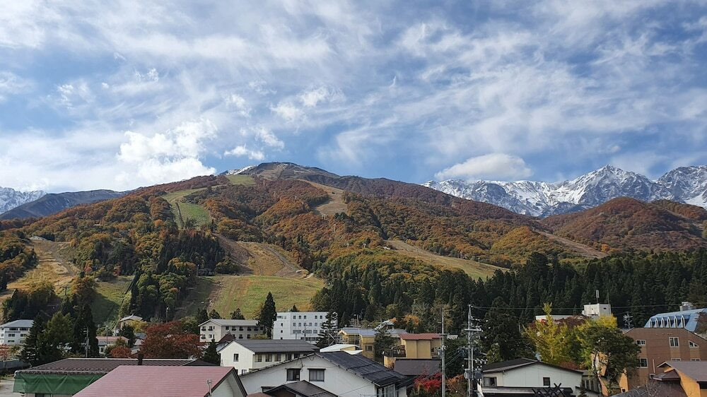 テラス / パティオ