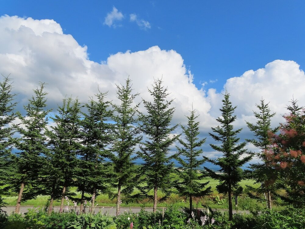 部屋からの景観