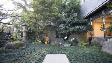 施設の敷地 / 10