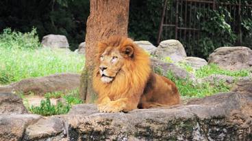 観光スポット / 30