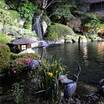 日本庭園(ﾗｲﾄｱｯﾌﾟ)