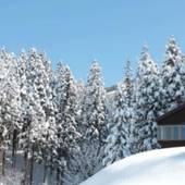 Nozawa House（長野県 コテージ・ロッジ・一棟貸） / 2
